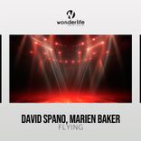 Artwork for "Flying"