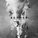 Artwork for "Echoes (Extended Mix)"