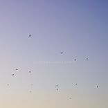 Artwork for "Luh (Huts on Beaches Remix)"