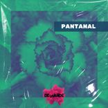 Artwork for "Pantanal"