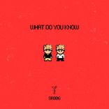 Artwork für "What Do You Know"