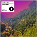 Artwork for "First Stroke"