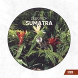 Artwork voor "Sumatra"
