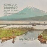 Artwork for "Bekool Brilliants 05"