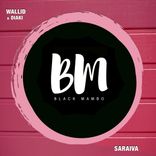 Artwork for "Saraiva"