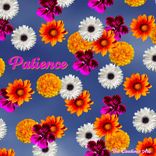 Artwork voor "Patience"