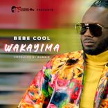 Artwork for "Wakayima"