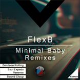 Artwork voor "Minimal Baby Remixes"