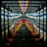 Artwork for "Reptile"