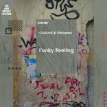 Artwork for "Funky Feeling"