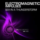 Artwork voor "Sex in a Thunderstorm"