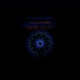 Artwork for "Neon Velvet"