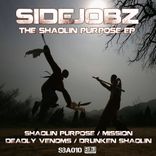 Artwork voor "The Shaolin Purpose"