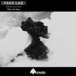 Artwork voor "Destructive"