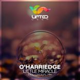 Artwork für "Little Miracle"