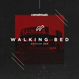 Artwork voor "Walking Bed"