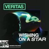 Artwork for "Wishing On A Star"