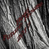 Artwork für "Best Future House 2017"