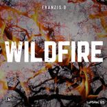 Artwork for "Wildfire"