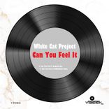 Artwork für "Can You Feel It"