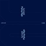 Artwork for "Flying High"