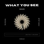 Artwork for "What You See"