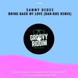 Artwork for "Bring Back My Love (DAN:ROS Remix)"