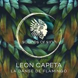 Artwork for "La Danse de Flamingo"