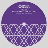 Never (feat. Eva Dillon)