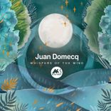 Artwork for "Whispers of the Wind"