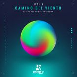 Artwork voor "Camino Del Viento"