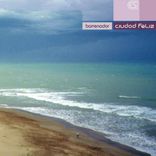 Why Can't You Understand