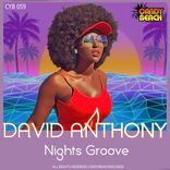 Artwork for "Nights Groove"