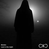 Artwork for "Lost in the night"