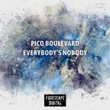Artwork for "Everybody's Nobody"