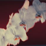 Artwork for "I See You"