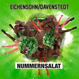 Artwork voor "Nummernsalat"
