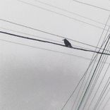 Artwork for "Dementor"