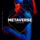 Artwork voor "Metaverse"