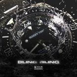 Portada para "Bling Bling"