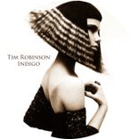 Artwork voor "Indigo"