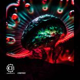 Artwork for "SECOND DELIVERY"