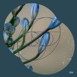 Artwork voor "Never Went to Ibiza"