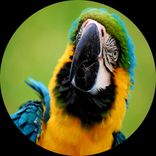 Artwork for "Drop Dat Beat EP"