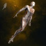 Artwork for "Serengeti"