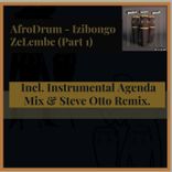 Artwork für "Izibongo ZeLembe, Pt. 1"