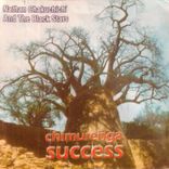 Artwork for "Chimurenga Success"