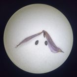 Artwork voor "Six Hyperslaps From Candyland EP"