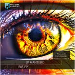 Artwork for "Iris"