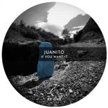 Artwork voor "If You Want It"